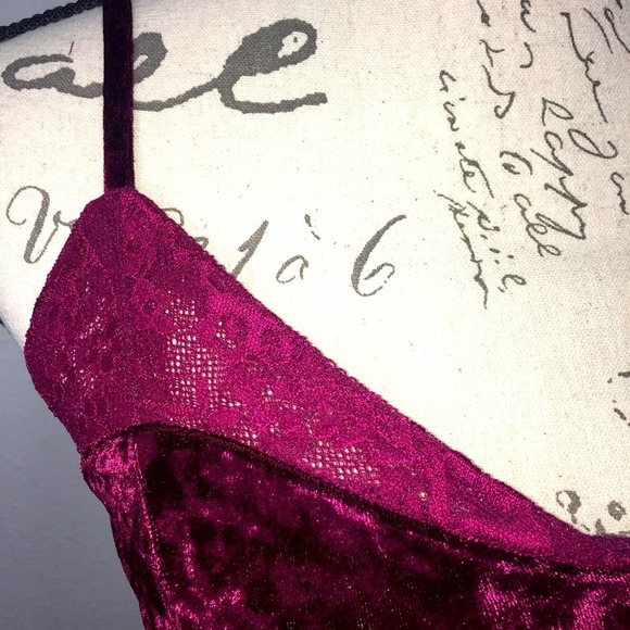 MINKPINK Velvet Lace Bra Wine Small NWT - Picture 4 of 6